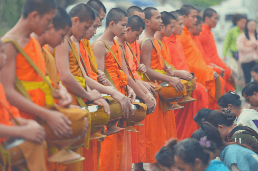 Mad Monkey Luang Prabang Experiences Almsgiving Ceremony