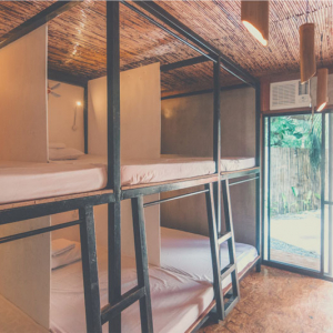 Mad Monkey Siargao Rooms Standard 6-Bed Private Dorm